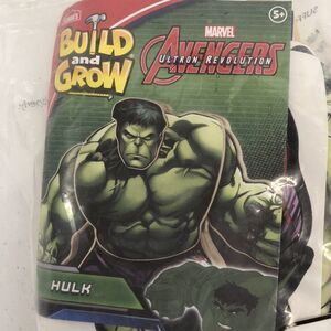 NEW Lowes Build and Grow Avengers Incredible Hulk Kit Marvel Wood Working